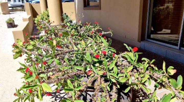 Chios Place at WestCoastLife