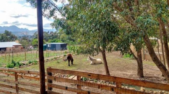 11 Mountain Stream Hot Tub Accommodation