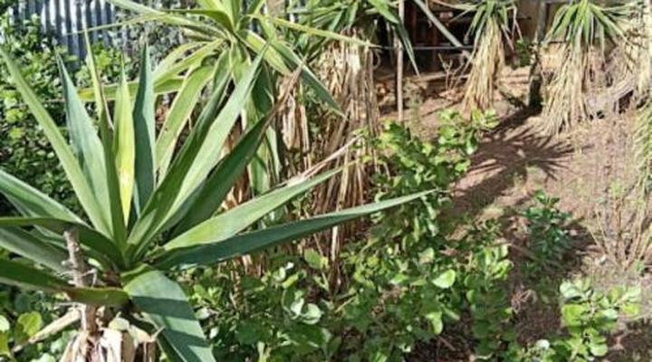 11 Mountain Stream Hot Tub Accommodation