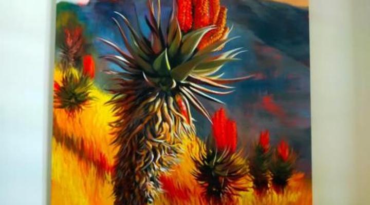 Gamagara Africa Private Nature Reserve