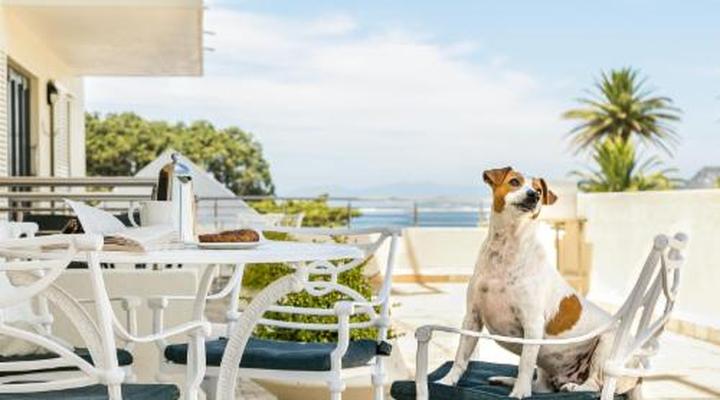 Harbour Square Hotel