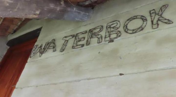 Binne bos gasteplaas