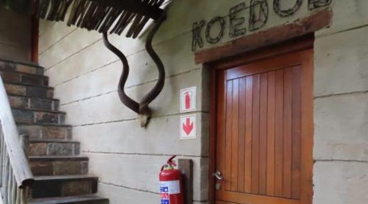 Binne bos gasteplaas