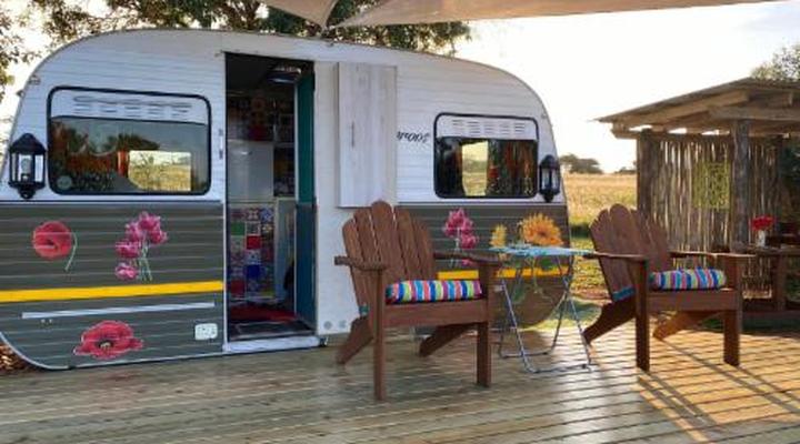 Hluhluwe Bush Camp Glamping Village