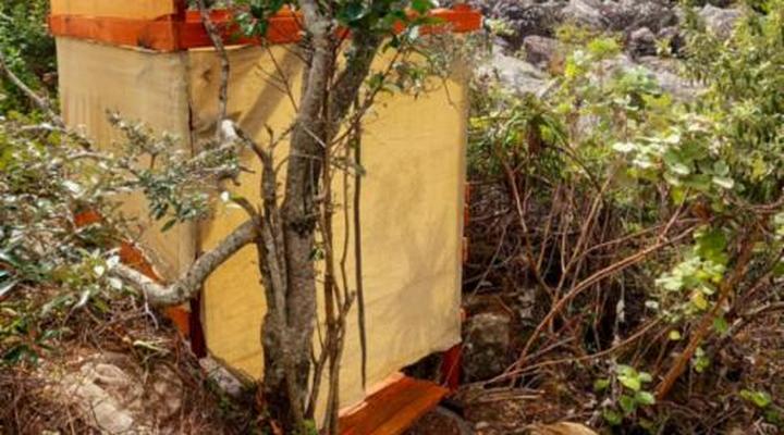 Louis at Magwa Falls