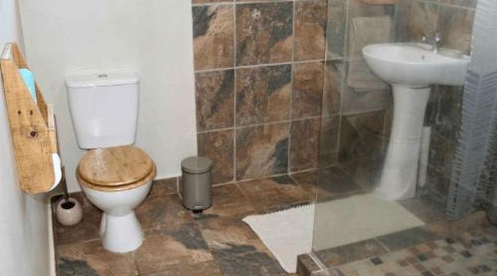 46 Fisant in Dinokeng