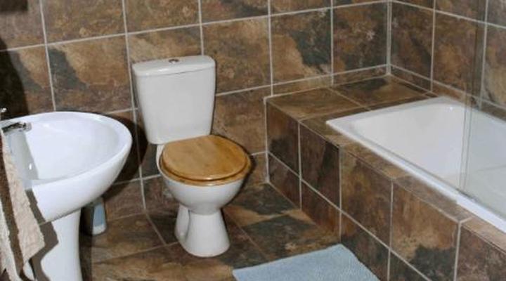 46 Fisant in Dinokeng