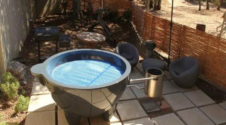 46 Fisant in Dinokeng