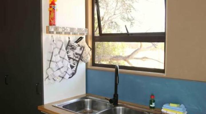 46 Fisant in Dinokeng