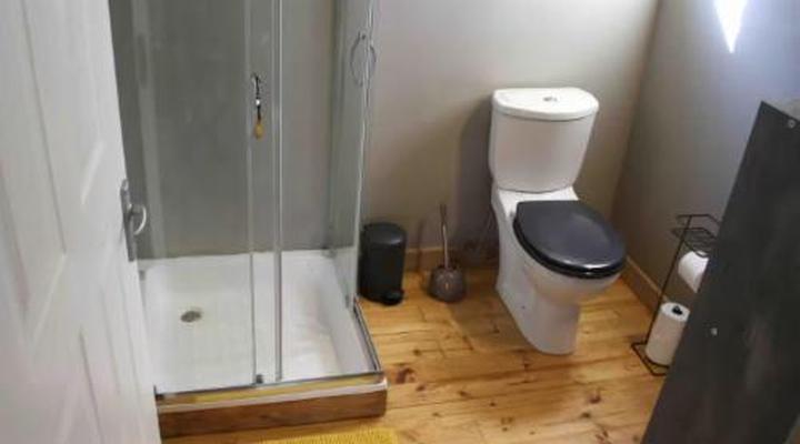 46 Fisant in Dinokeng