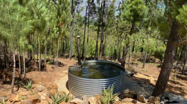 Noah - Farm Campsite