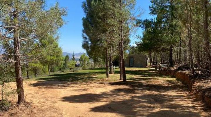 Noah - Farm Campsite