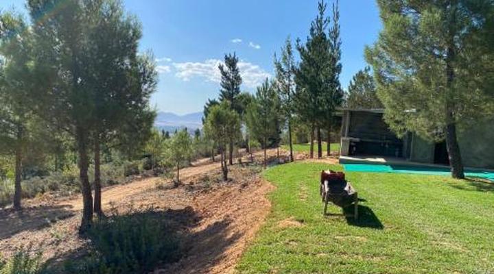 Noah - Farm Campsite