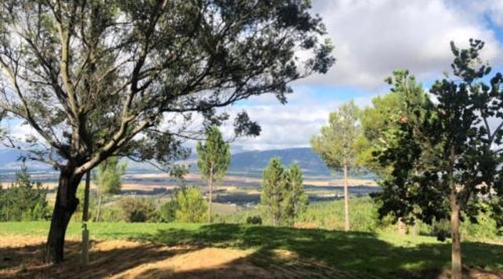 Noah - Farm Campsite