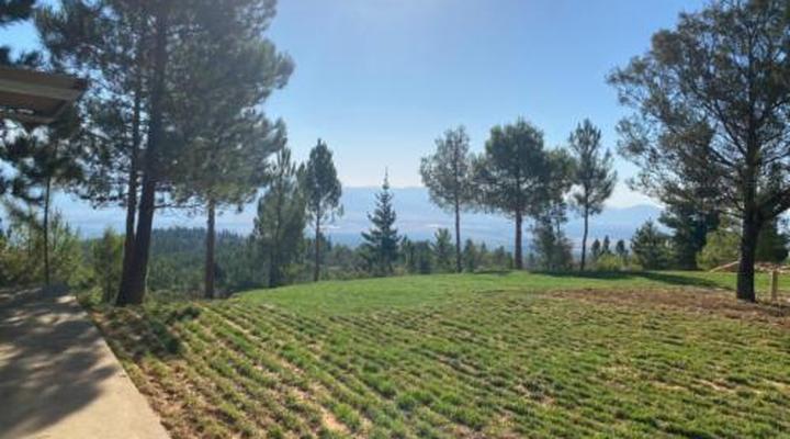 Noah - Farm Campsite