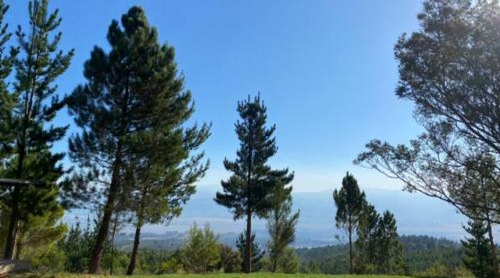 Noah - Farm Campsite