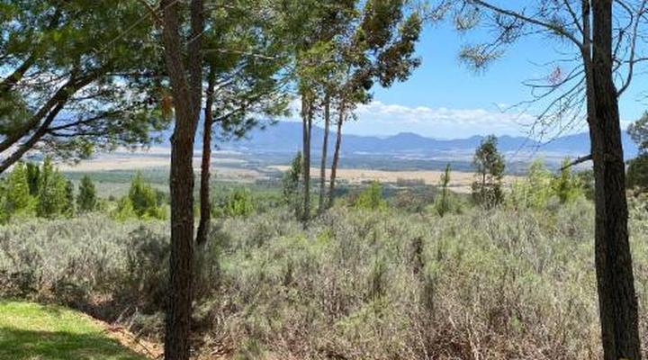 Noah - Farm Campsite