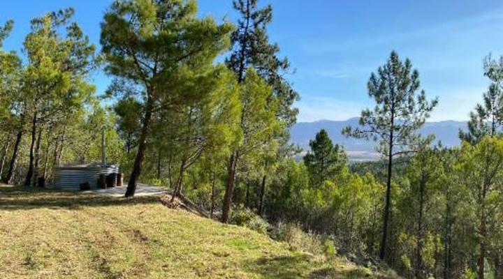 Noah - Farm Campsite