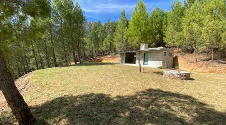 Noah - Farm Campsite