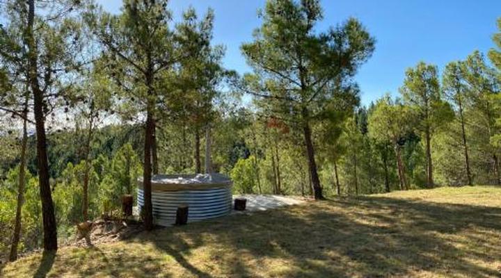 Noah - Farm Campsite