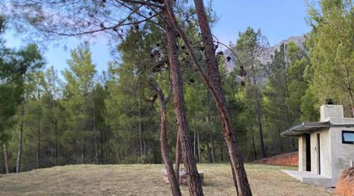 Noah - Farm Campsite