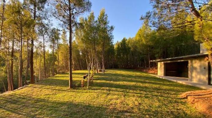 Noah - Farm Campsite