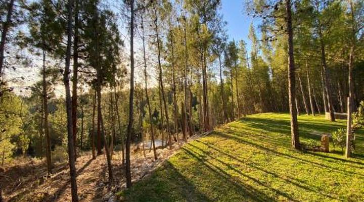 Noah - Farm Campsite