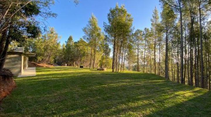 Noah - Farm Campsite