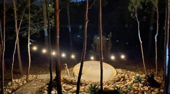 Noah - Farm Campsite