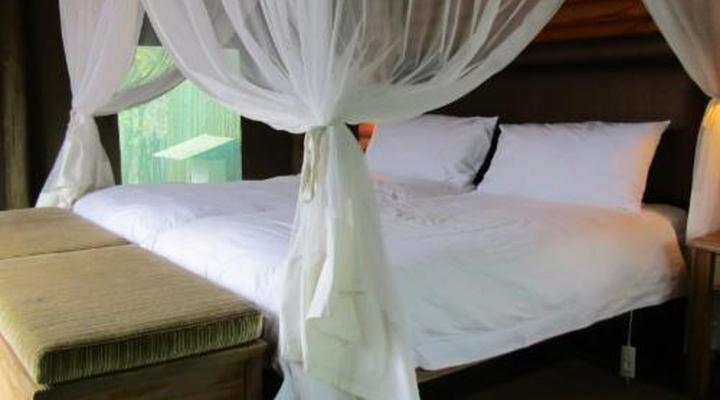 Honeyguide Ranger Camp