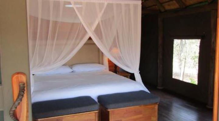 Honeyguide Ranger Camp