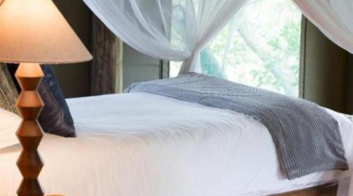 Honeyguide Ranger Camp