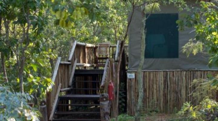 Honeyguide Ranger Camp