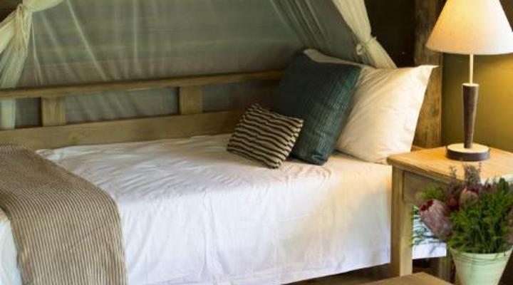 Honeyguide Ranger Camp