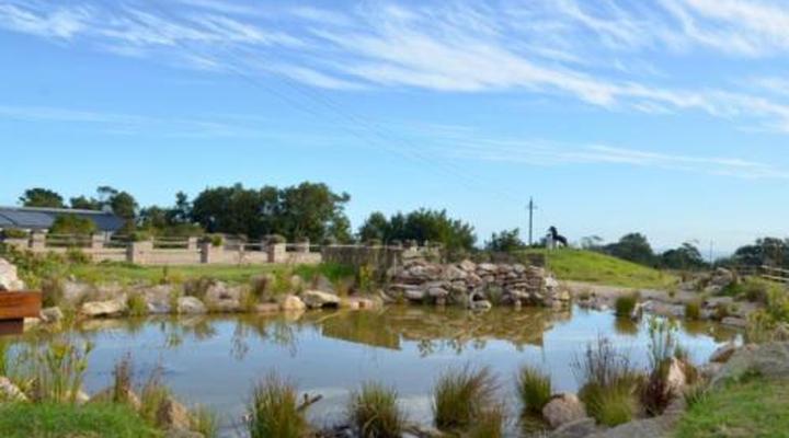 Dunkes Organic Equestrian Estate