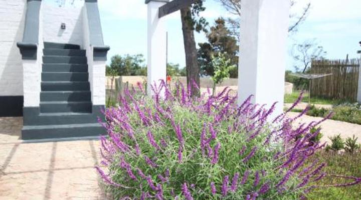 Dunkes Organic Equestrian Estate