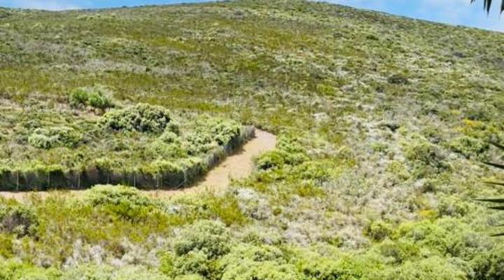 C and C Hotel Vibes CPT Plattekloof