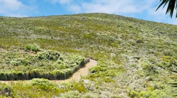 C and C Hotel Vibes CPT Plattekloof