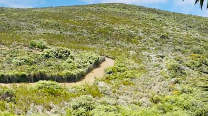 C and C Hotel Vibes CPT Plattekloof