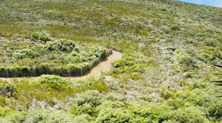 C and C Hotel Vibes CPT Plattekloof