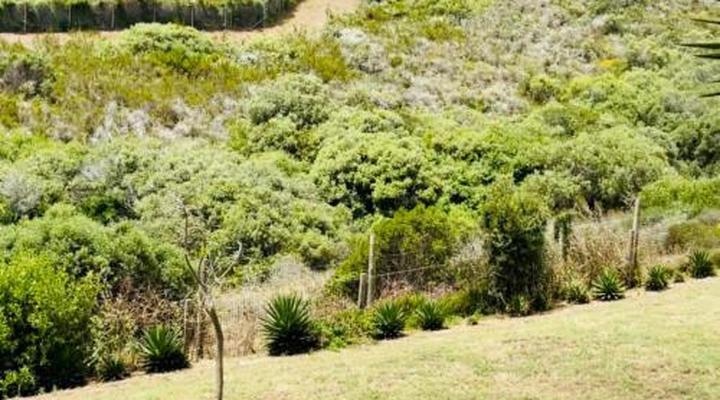 C and C Hotel Vibes CPT Plattekloof