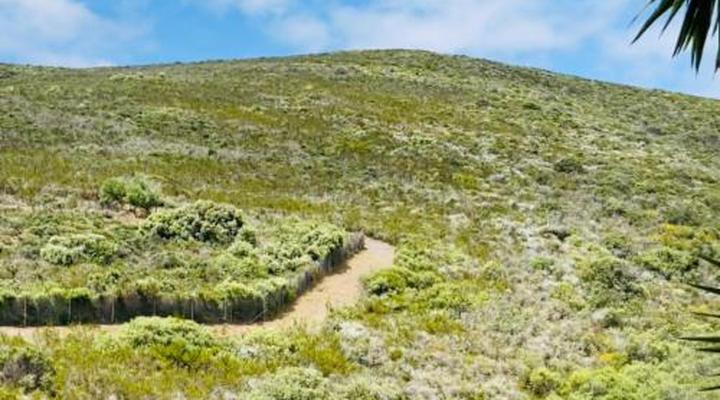 C and C Hotel Vibes CPT Plattekloof