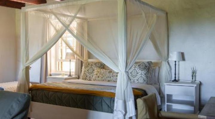 Belle Balance Bush Lodge