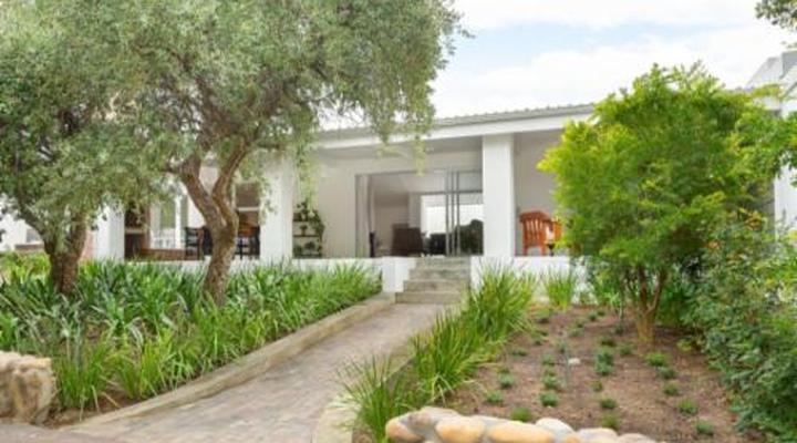 Bains View Olive and Guest Farm