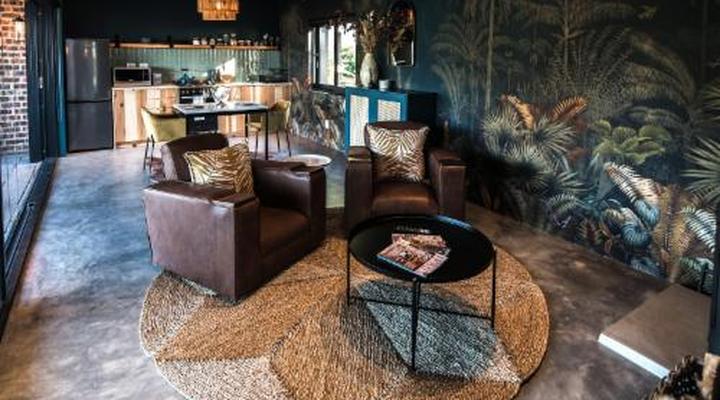 Bains View Olive and Guest Farm