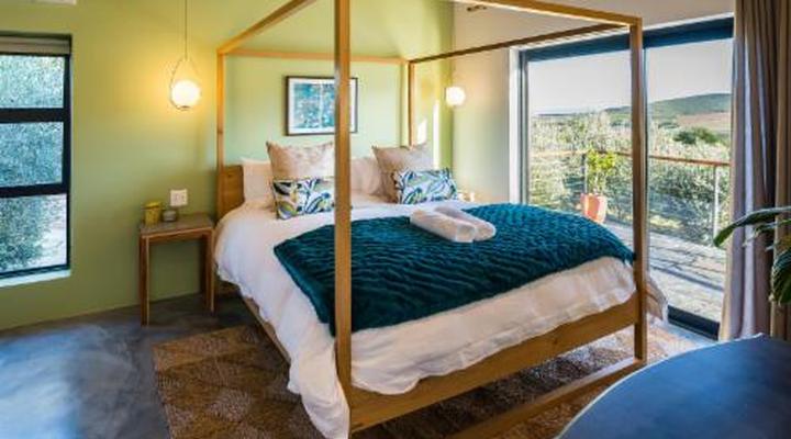 Bains View Olive and Guest Farm