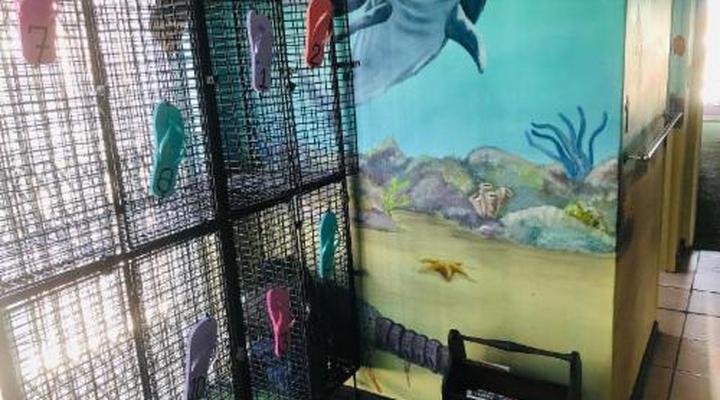 Cape Capsules Backpackers