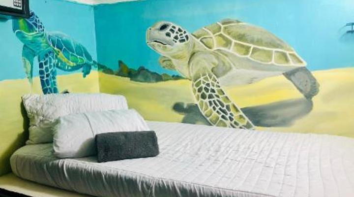 Cape Capsules Backpackers