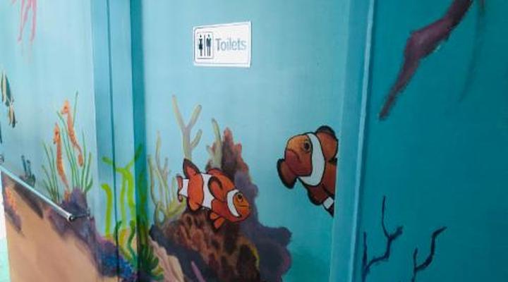 Cape Capsules Backpackers