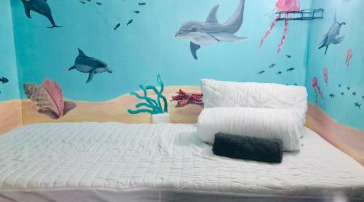 Cape Capsules Backpackers